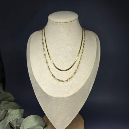 Dynamic Duo Necklace