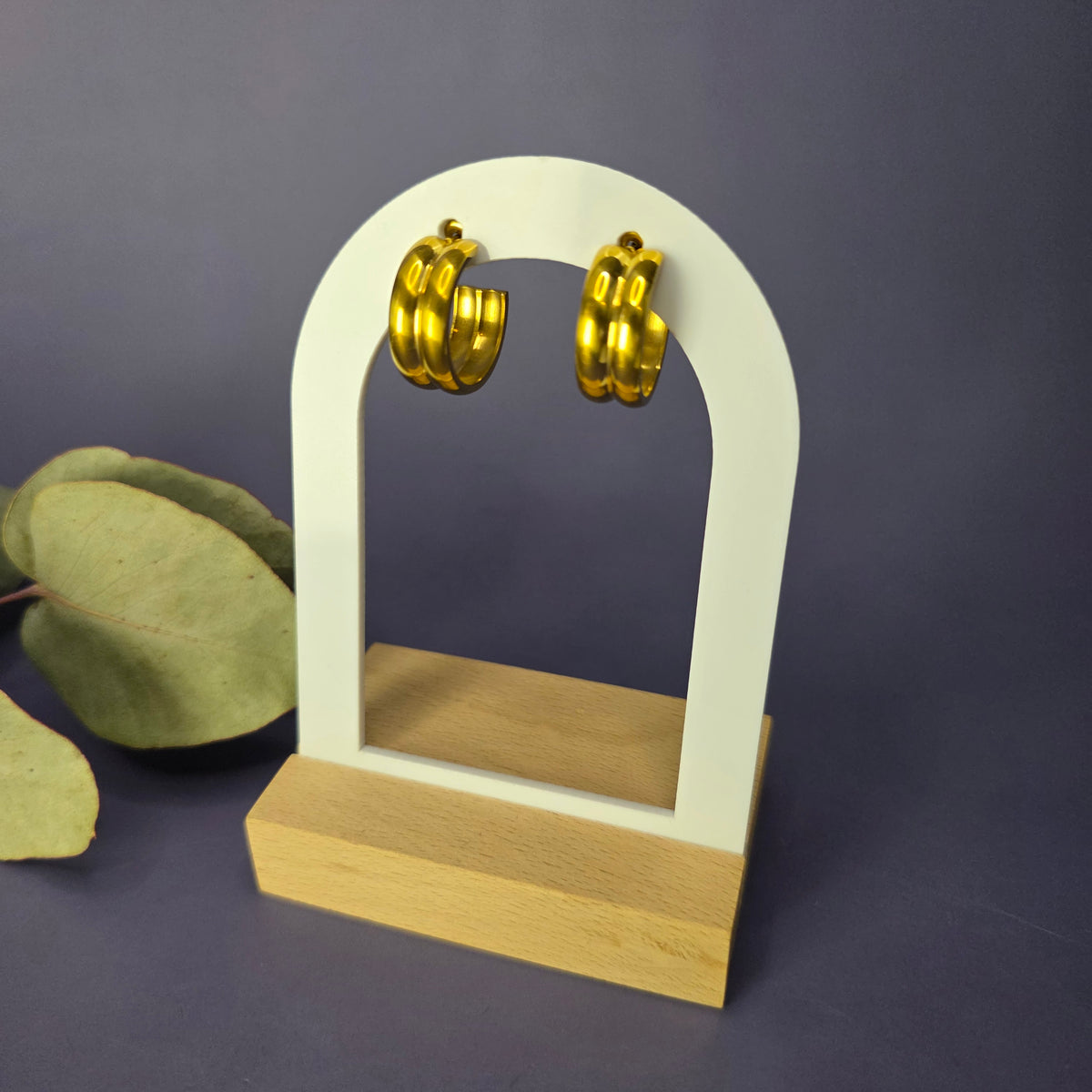 Vega Hoops