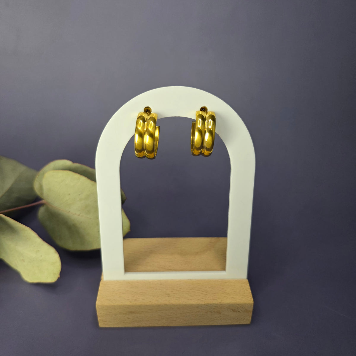 Vega Hoops