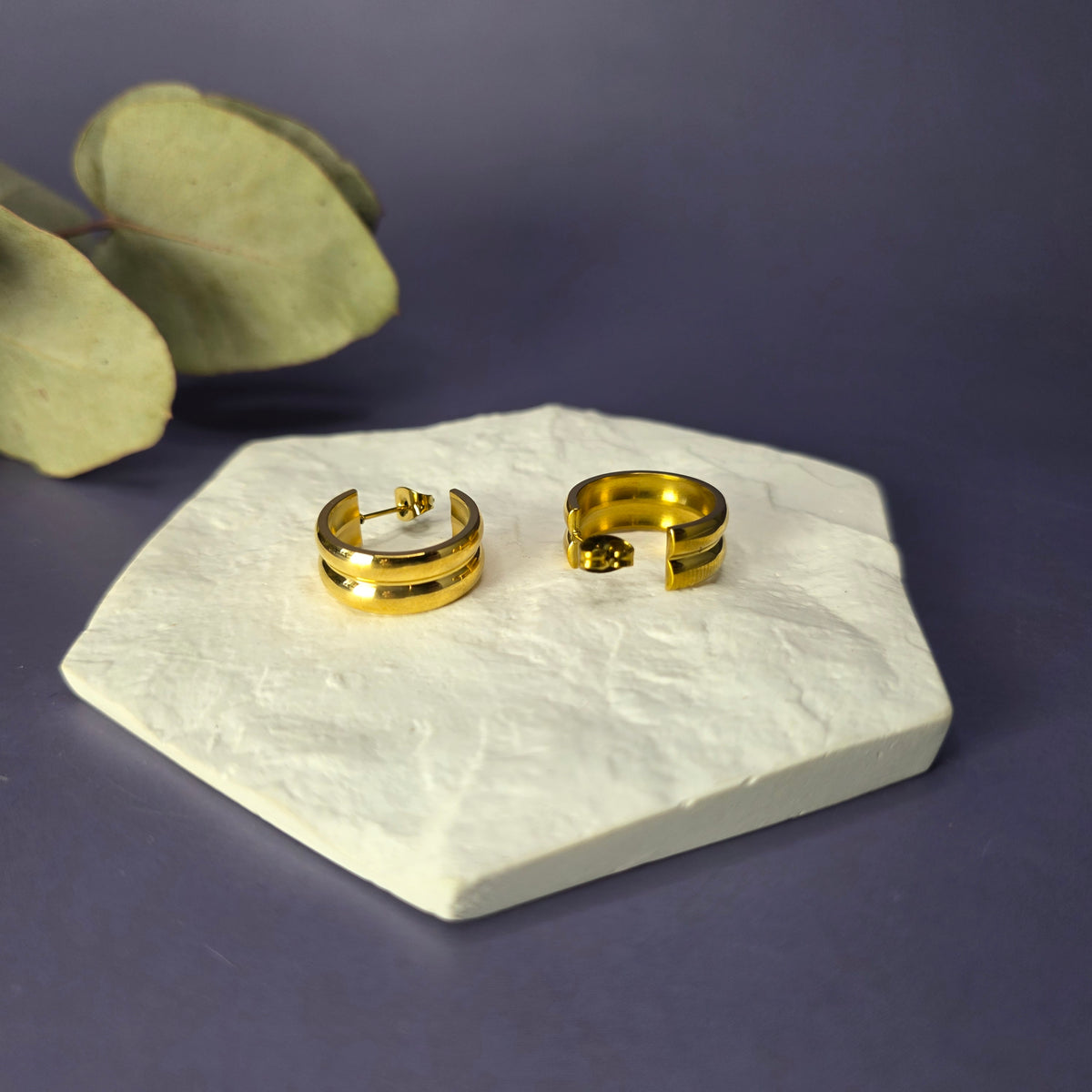 Vega Hoops